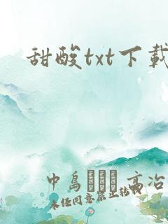 甜酸txt下载