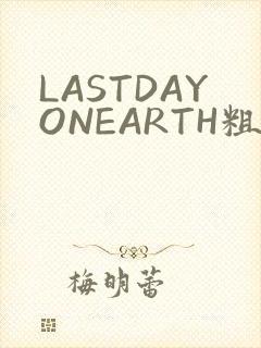 LASTDAYONEARTH粗暴
