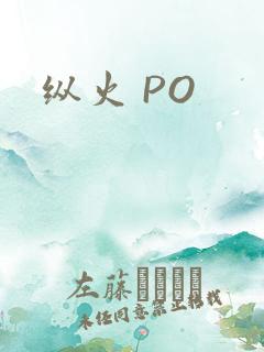 纵火 PO