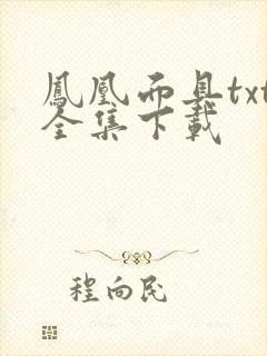 凤凰面具txt全集下载