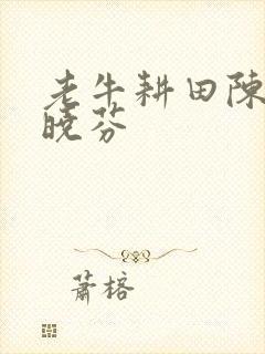 老牛耕田陈雪杨晓芬