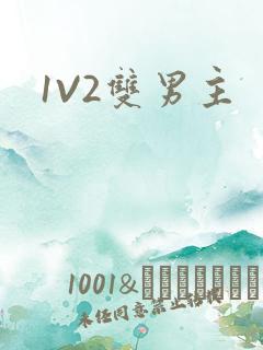1V2双男主