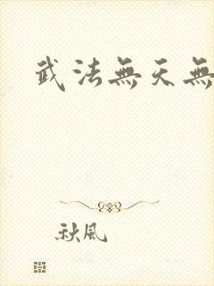 武法无天无弹窗