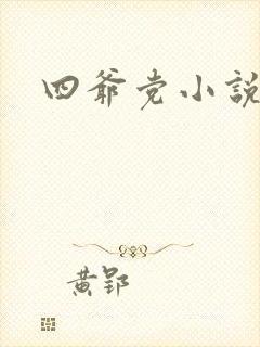 四爷党小说