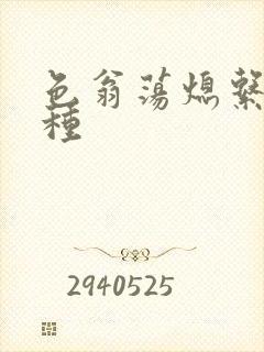 色翁荡熄系列借种