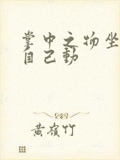 掌中之物坐上来自己动