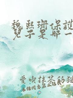 魏熙珊保护萧峥儿子是哪一集