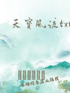 天宝风流txt