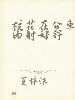 校花在公车上被内射好舒