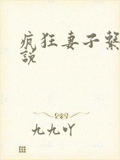 疯狂妻子系列小说