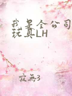 我是全公司发泄玩具LH