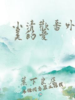 小清欢番外篇完美的爱
