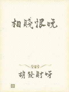 相贱恨晚