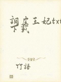 调皮王妃txt下载