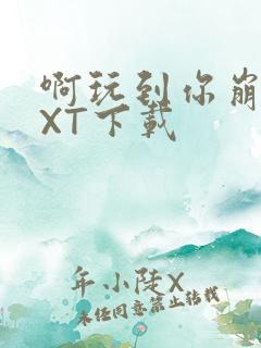 啊玩到你崩溃TXT下载