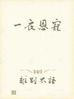 一夜恩宠