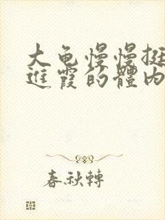 大龟慢慢挺进王进霞的体内