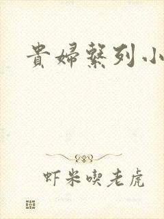 贵妇系列小多美