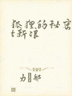 狐狸的秘密txt新浪