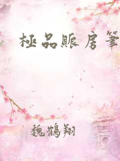 极品账房笔趣阁