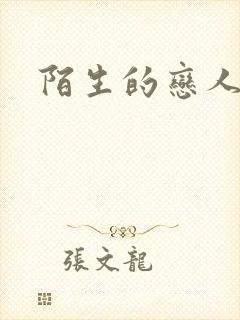 陌生的恋人小说