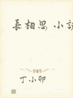 长相思 小说