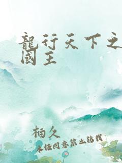 龙行天下之真假国主