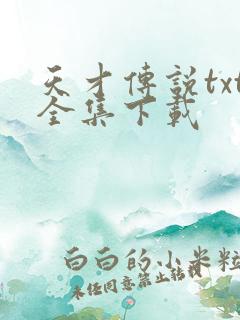 天才传说txt全集下载