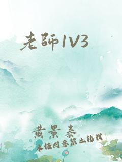老师1V3