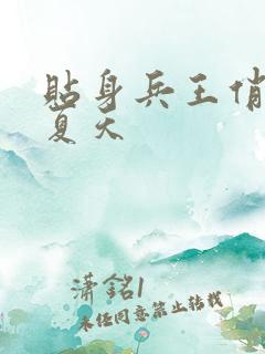 贴身兵王俏总裁夏天