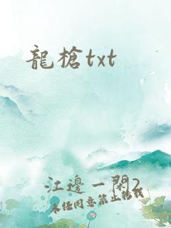 龙枪txt