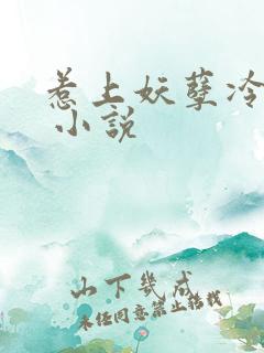 惹上妖孽冷殿下 小说