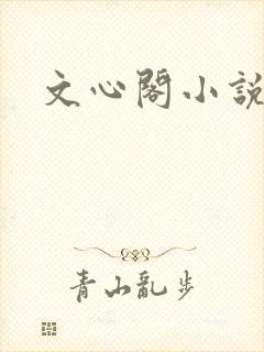 文心阁小说