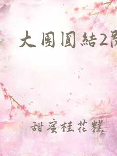 大团圆结2阅读