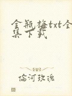 金瓶梅txt全集下载