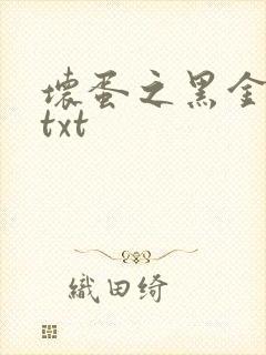 坏蛋之黑金帝国txt