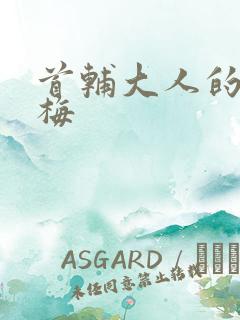 首辅大人的小青梅