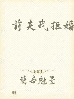 前夫我拒婚