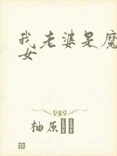 我老婆是魔法少女