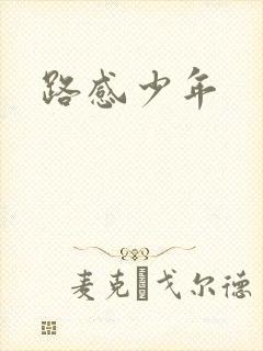 路感少年