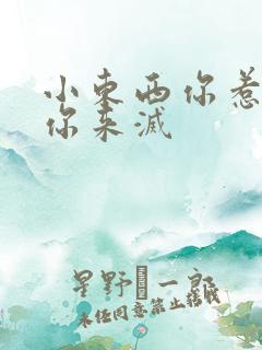 小东西你惹的火你来灭