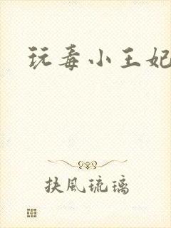 玩毒小王妃