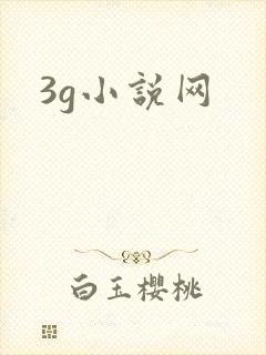 3g小说网