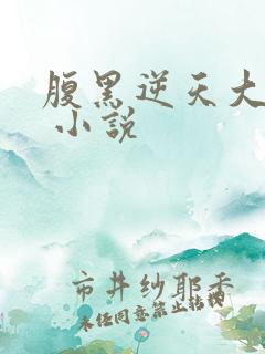 腹黑逆天大小姐 小说