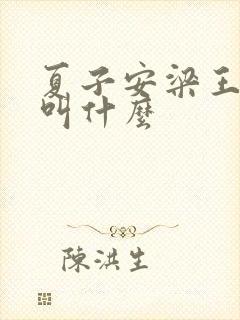 夏子安梁王书名叫什么