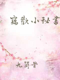 窃欢小秘书