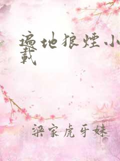 遍地狼烟小说下载