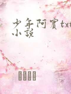 少年阿宾txt小说