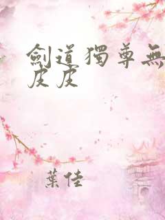 剑道独尊无弹窗皮皮