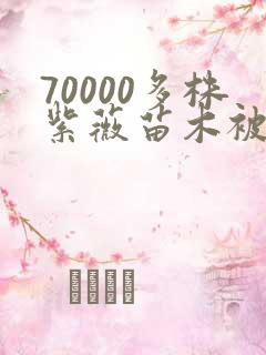 70000多株紫薇苗木被强毁